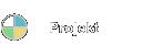 Projekt